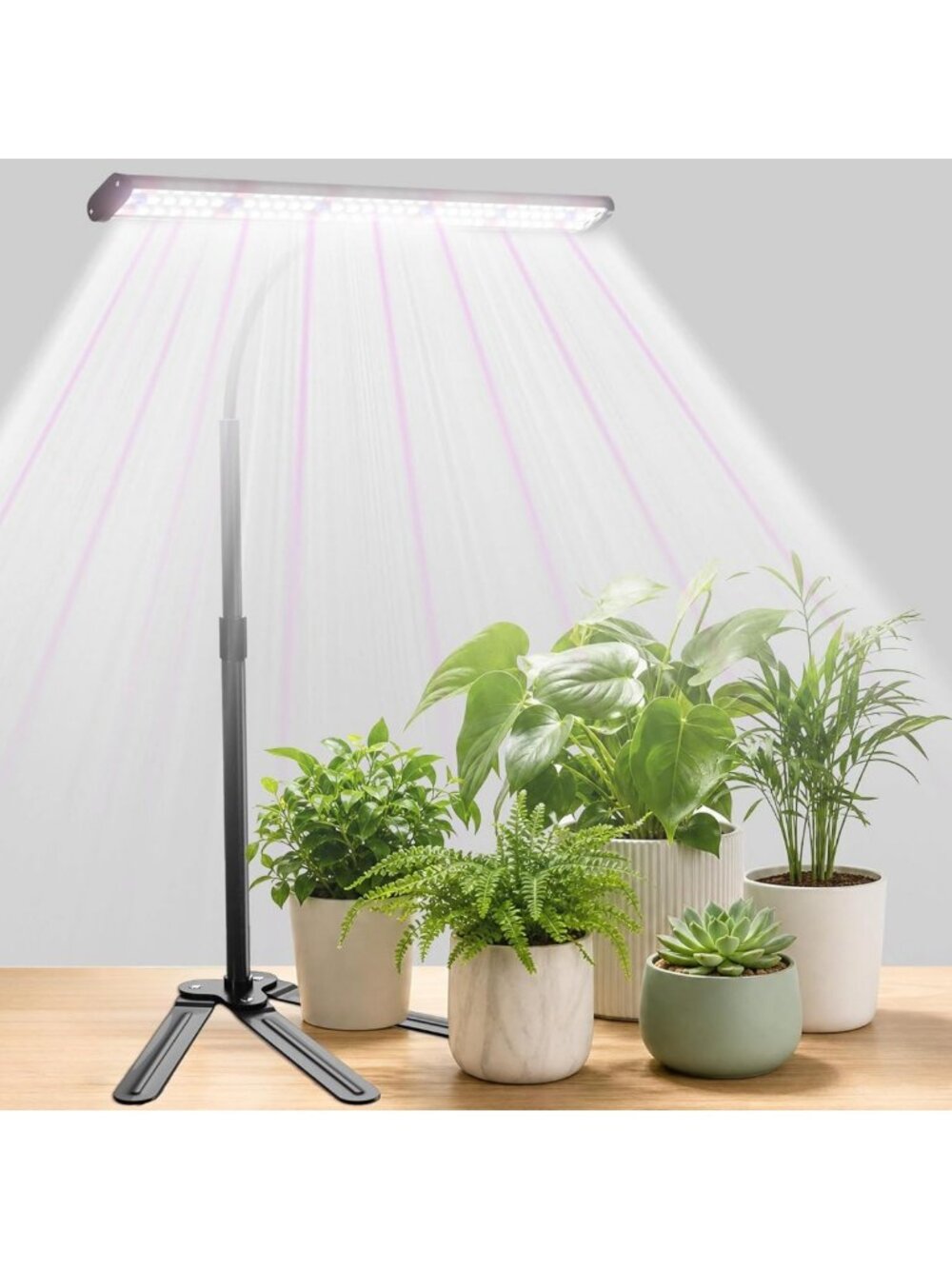 Bright Full Spectrum Grow Light for Indoor Plants, Timer & Adjustable Height